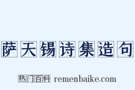 萨天锡诗集造句是什么意思的图片